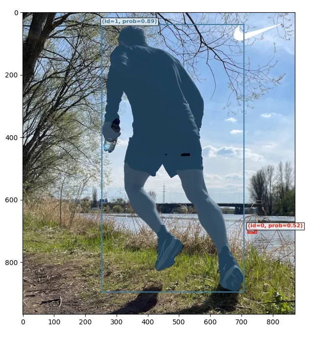 SAM 3 running detection example