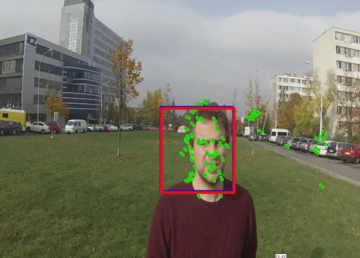 The median flow tracker running on video: a blue and red box around a face, covered in the green goodFeaturesToTrack points it follows between frames