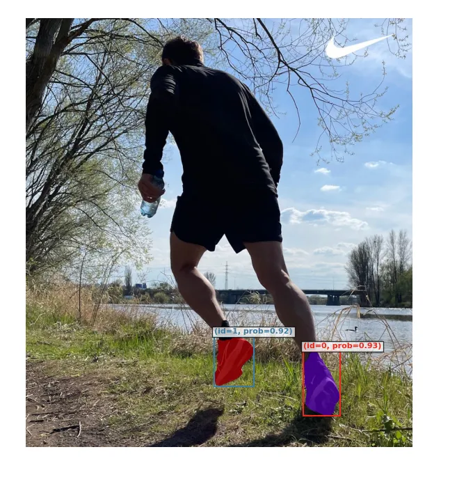 SAM 3 segmentation result