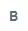 The template being searched for: the bold B icon on its own