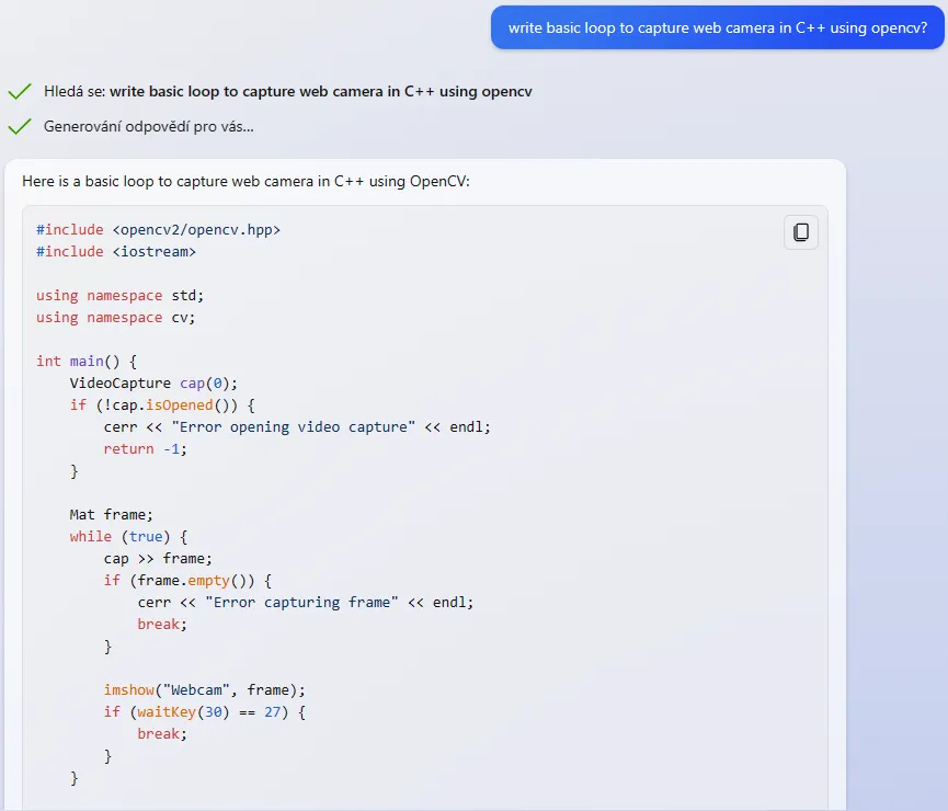 Using microsoft copilot