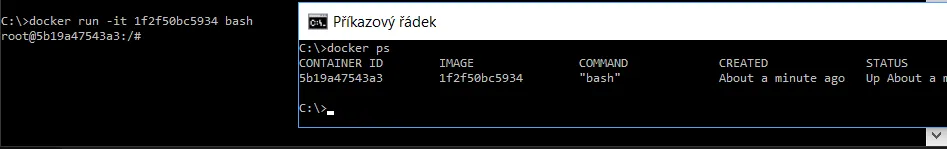 Docker image