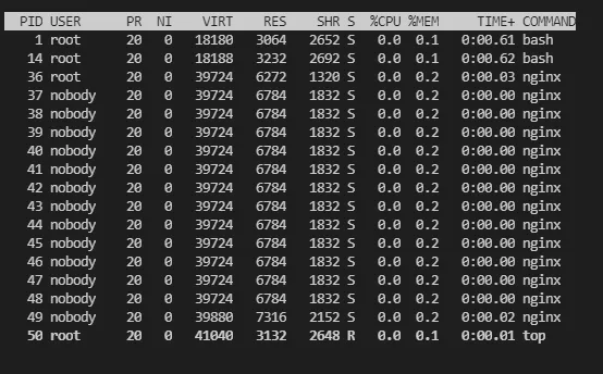 top running inside the container, showing the nginx master process and its worker processes